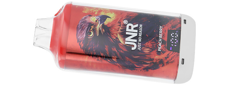 Zoom sur la puff rechargeable Falcon-X Plus par JNR