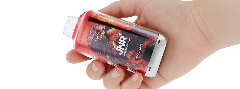 La prise en main de la puff rechargeable Falcon-X Plus de JNR