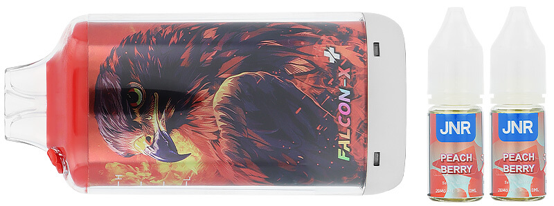 Le contenu de la boîte de la puff rechargeable Falcon-X Plus par JNR