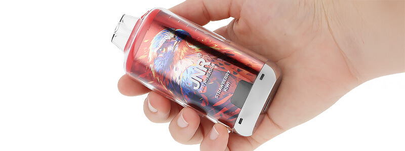 La prise en main de la puff rechargeable Falcon-X Plus de JNR