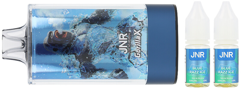 Le contenu de la boîte de la puff Blue Razz Ice 43K Gorilla X par JNR