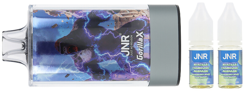 Le contenu de la boîte de la puff rechargeable Blueberry Sour Raspberry 43K Gorilla X par JNR