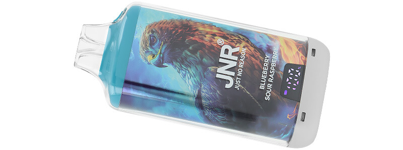 JNR's Falcon-X Plus refillable puff