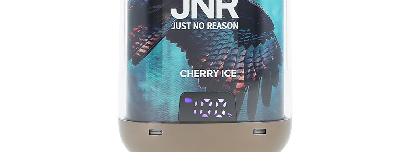 The screen of JNR's Cherry Ice Falcon-X Plus rechargeable puff