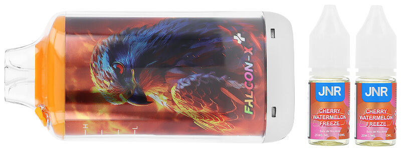 Box contents of JNR's Falcon-X Plus Cherry Watermelon Freeze refillable puff