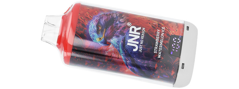 JNR's Falcon-X Plus Strawberry Watermelon Ice refillable puff