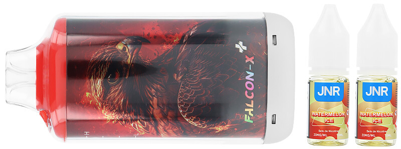 Le contenu de la boîte de la puff rechargeable Falcon-X Plus Watermelon Ice de chez JNR