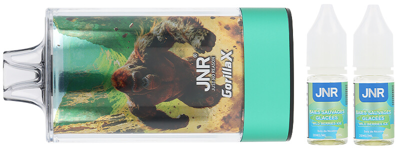 Le contenu de la boîte de la puff rechargeable Wild Berries Ice 43K Gorilla X par JNR